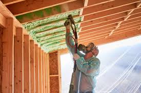 Best Eco-Friendly or Green Insulation Solutions  in Cross Mountain, TX